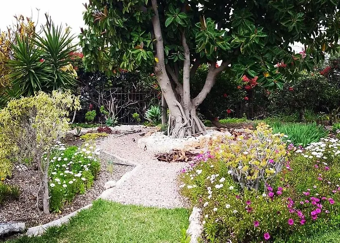 La Roca Rara - 8 Bedroom