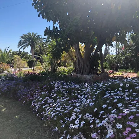 La Roca Rara - 8 Bedroom Villa *