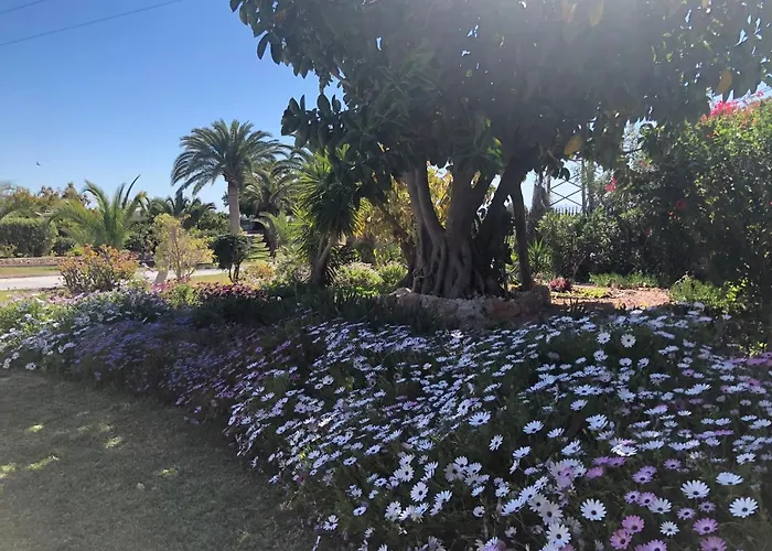 La Roca Rara - 8 Bedroom Вилла *